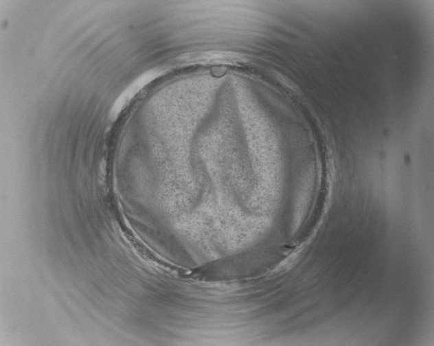 X0000051891066200507151933