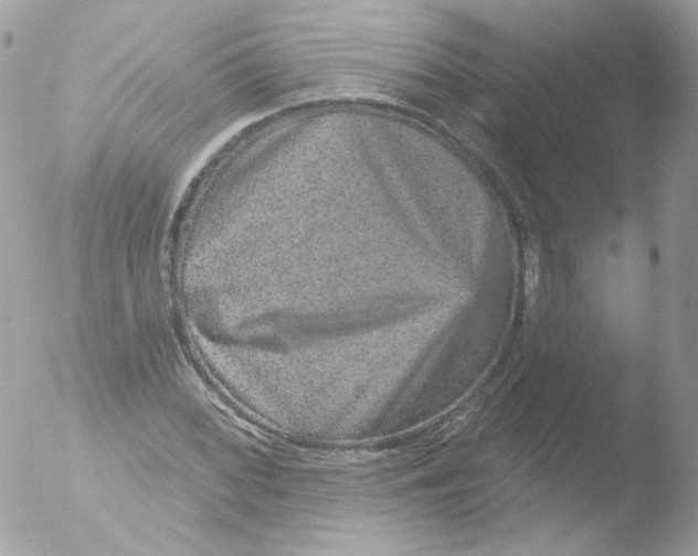 X0000051891068200507151933