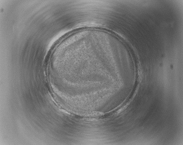 X0000051891070200507151933