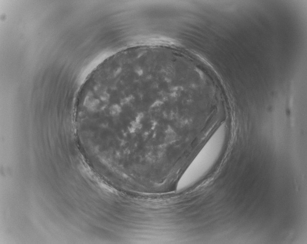 X0000051891071200507151933