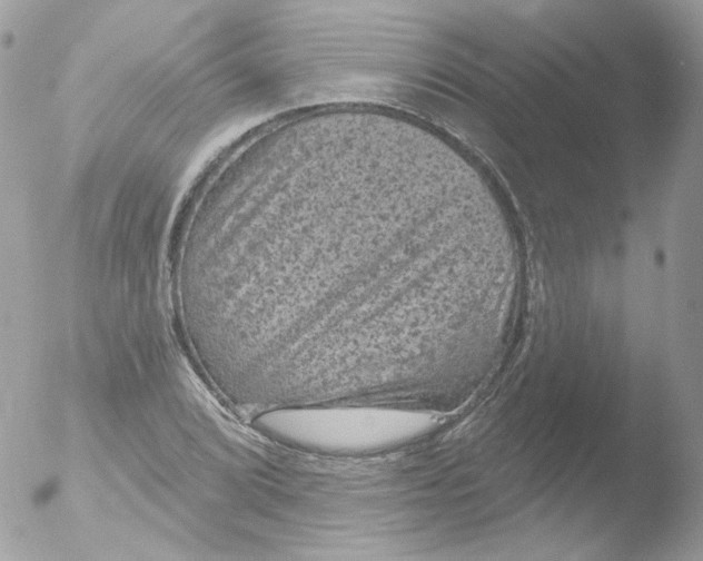 X0000051891072200507151932