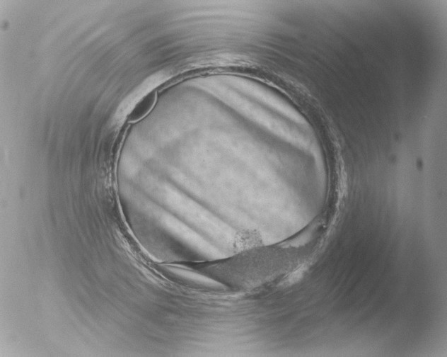 X0000051891073200507151932