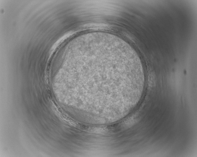 X0000051891074200507151932