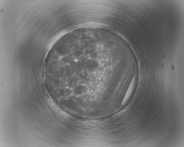 X0000051891075200507151932