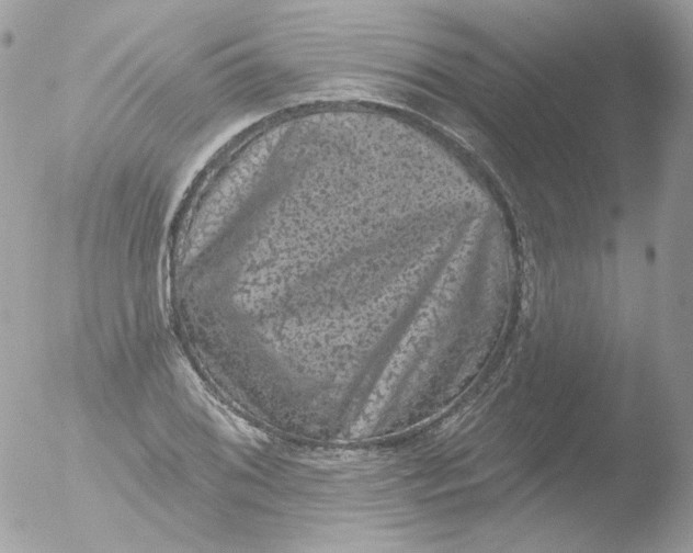 X0000051891076200507151932