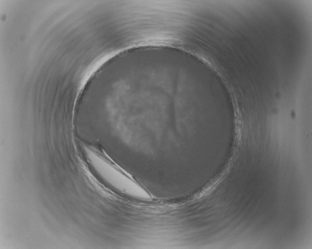 X0000051891077200507151932