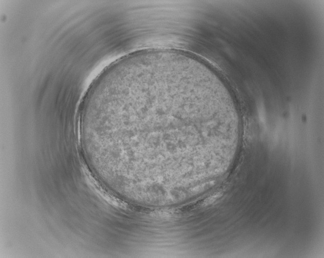 X0000051891078200507151932