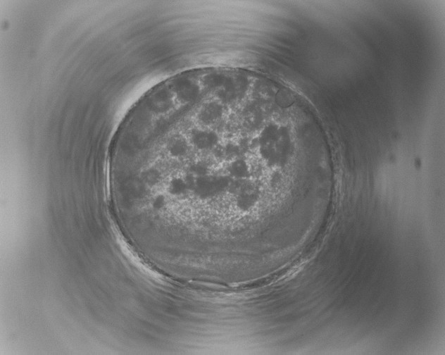 X0000051891079200507151932