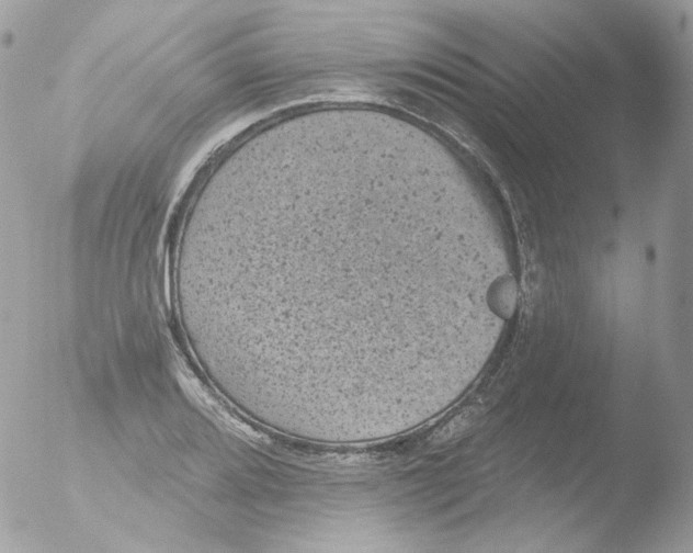 X0000051891080200507151932