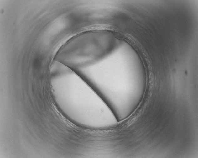 X0000051891081200507151932