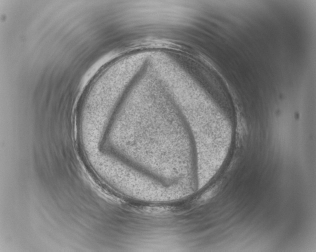 X0000051891082200507151932