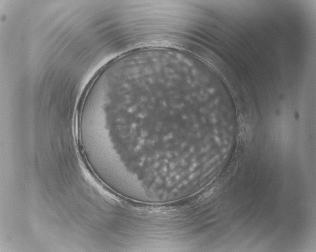 X0000051891084200507151932