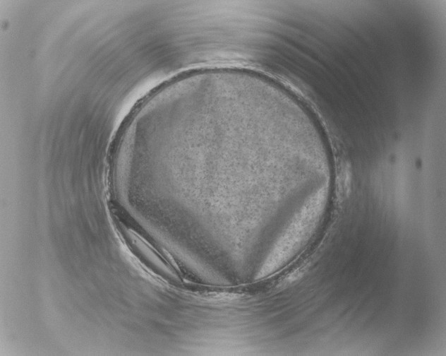 X0000051891085200507151932