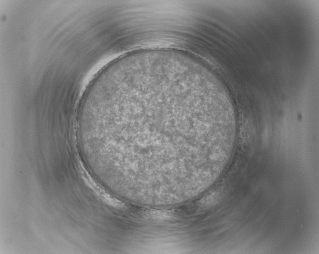 X0000051891086200507151932