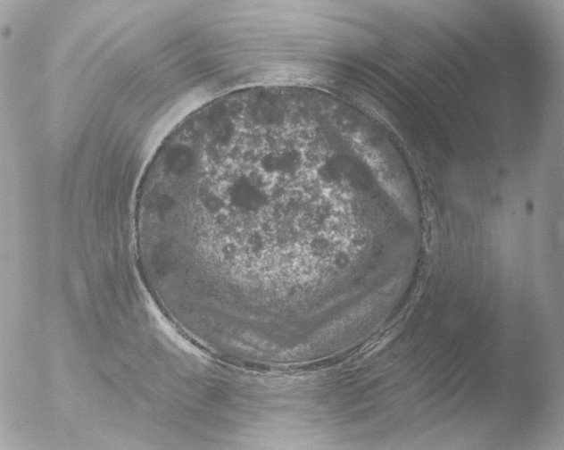 X0000051891087200507151932