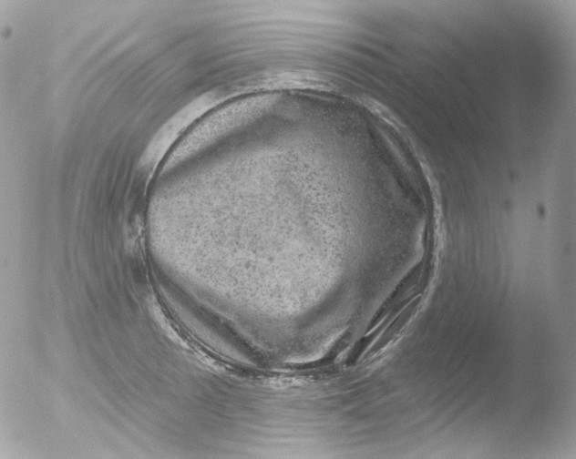 X0000051891089200507151932