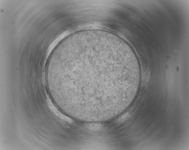 X0000051891090200507151932