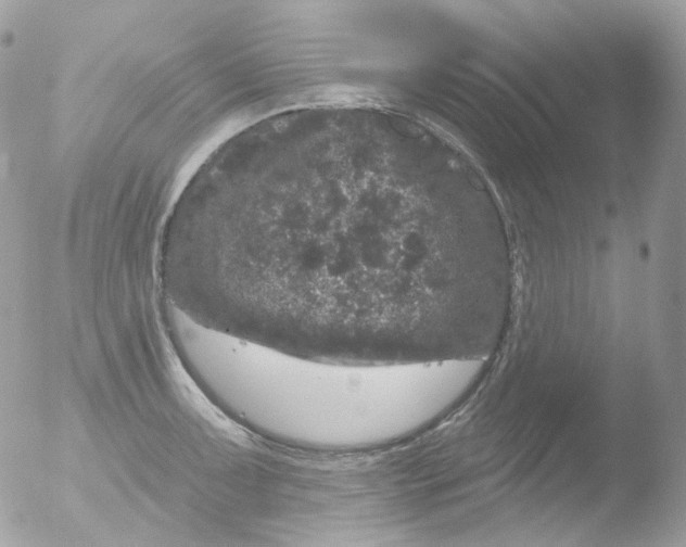 X0000051891091200507151932