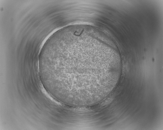 X0000051891092200507151932