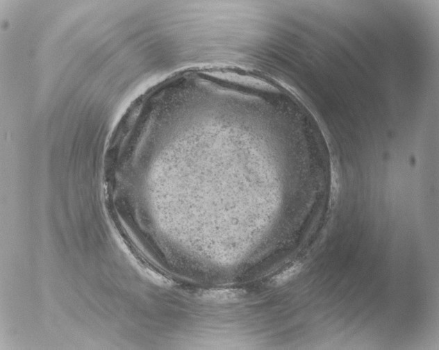 X0000051891093200507151932