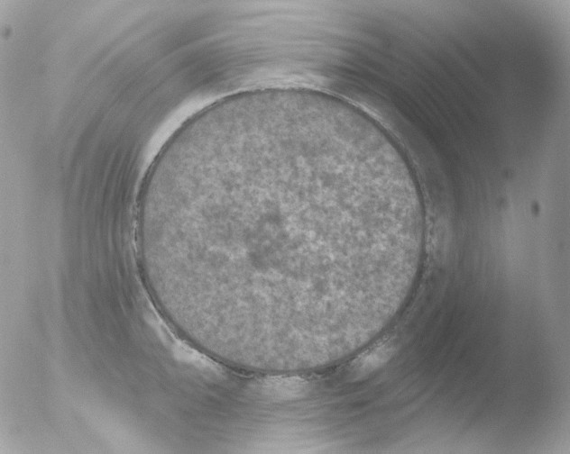 X0000051891094200507151932