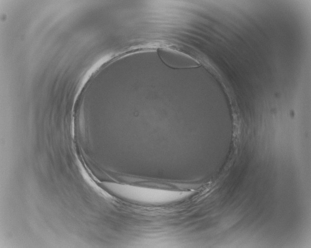 X0000051891095200507151932