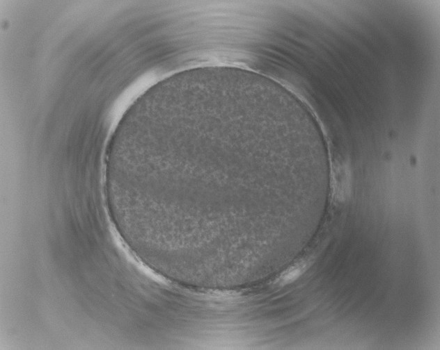 X0000051891096200507151932