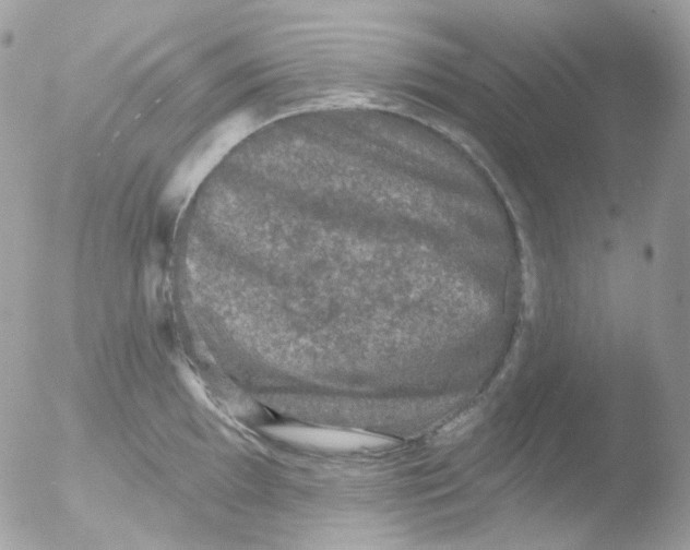 X0000051891097200507151932