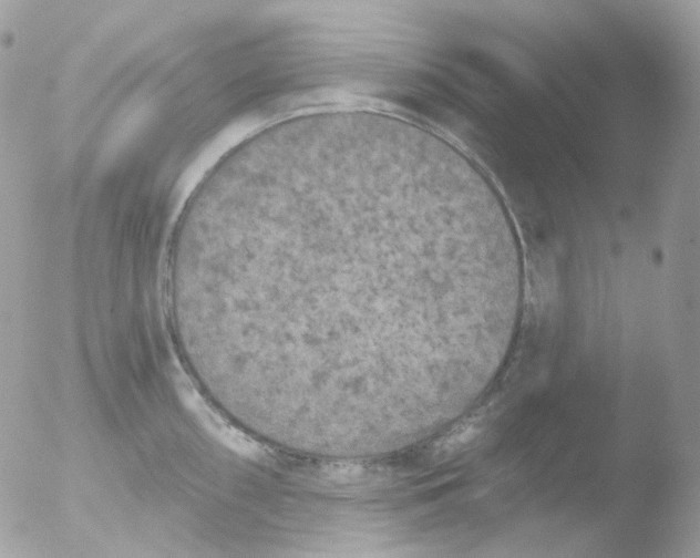 X0000051891098200507151932