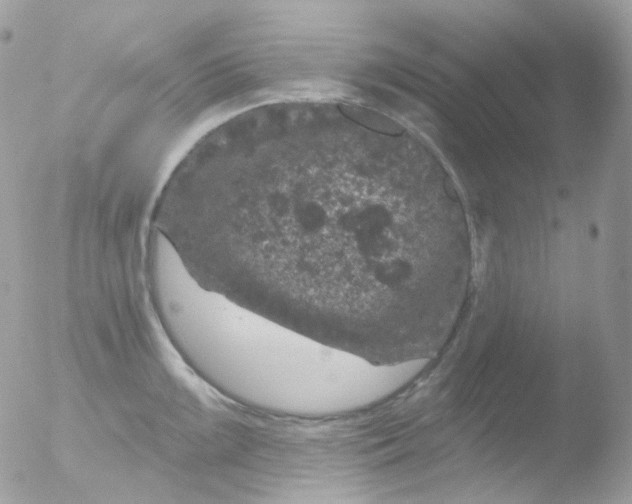 X0000051891099200507151932