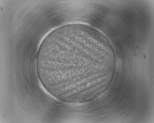 X0000051891100200507151932