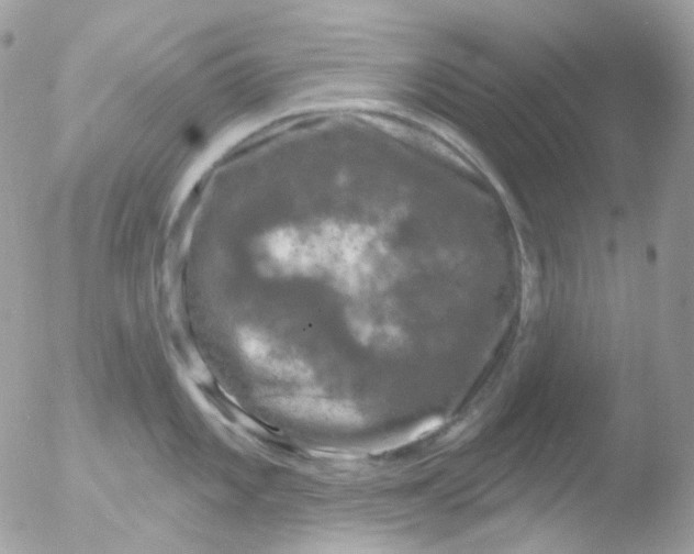 X0000051891101200507151932