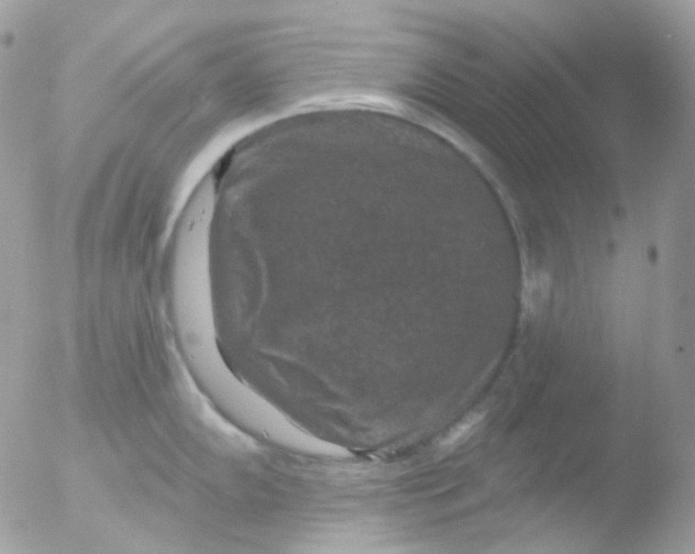 X0000051891102200507151932