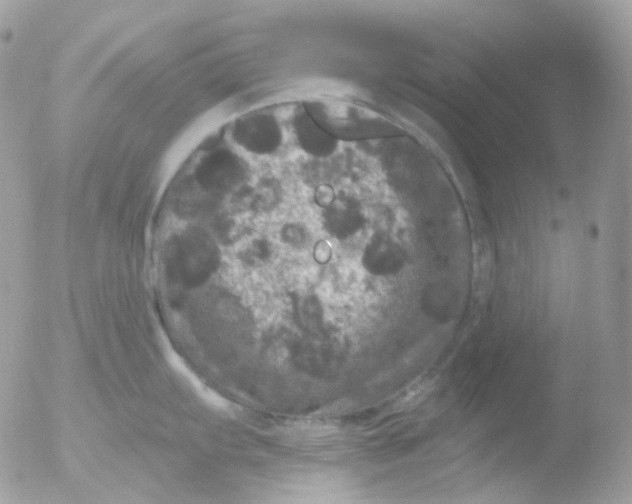 X0000051891103200507151932