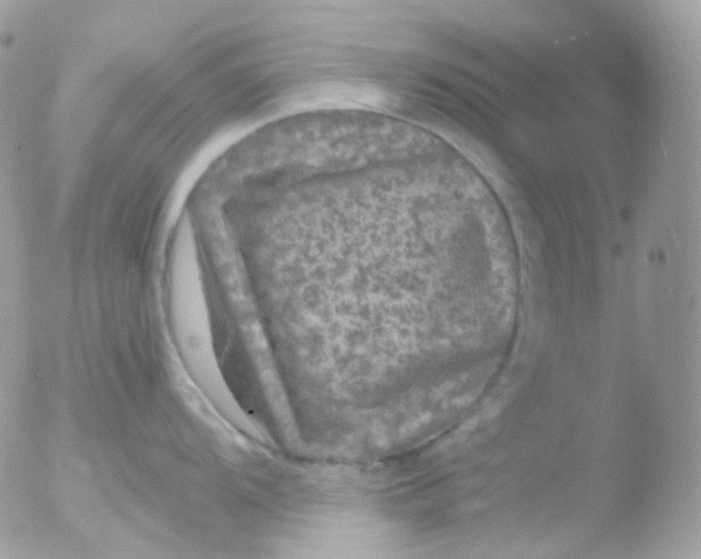 X0000051891104200507151932