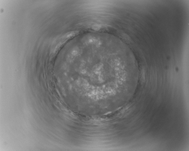 X0000051891105200507151931