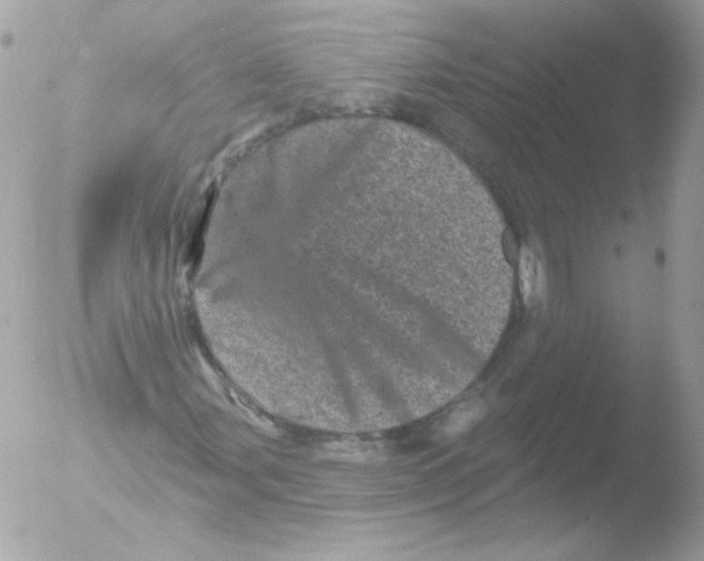 X0000051891107200507151931