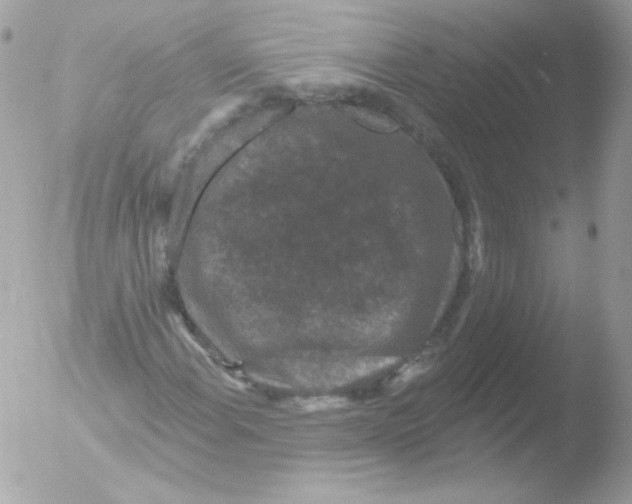 X0000051891108200507151931