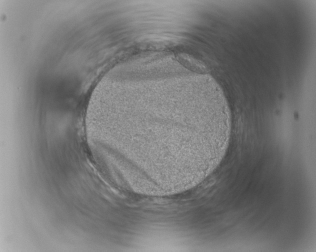 X0000051891109200507151931