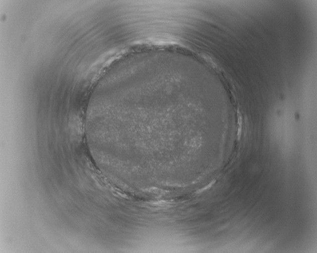 X0000051891110200507151931