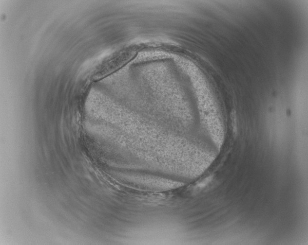 X0000051891111200507151931