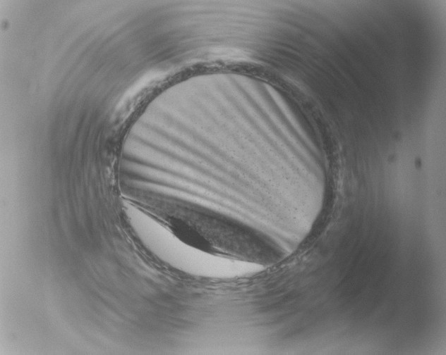 X0000051891112200507151931