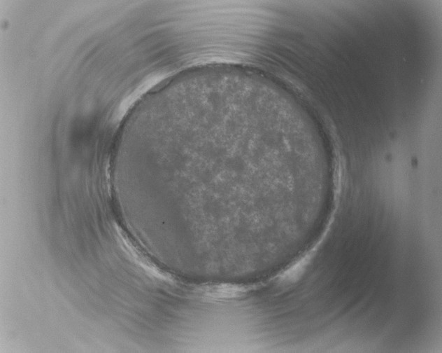 X0000051891113200507151931