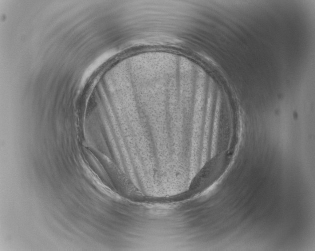 X0000051891114200507151931