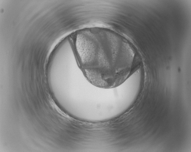 X0000051891116200507151931