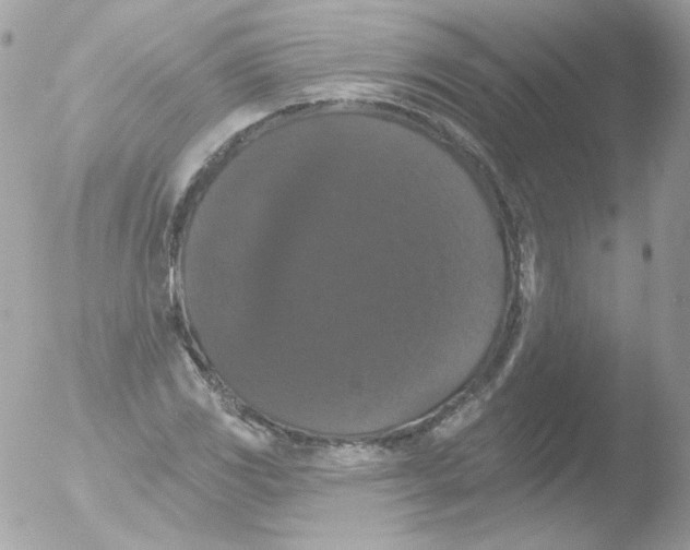 X0000051891117200507151931