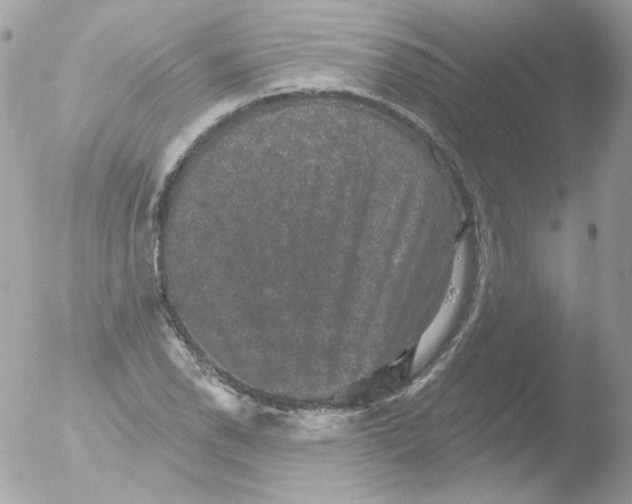 X0000051891118200507151931