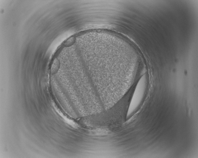 X0000051891119200507151931