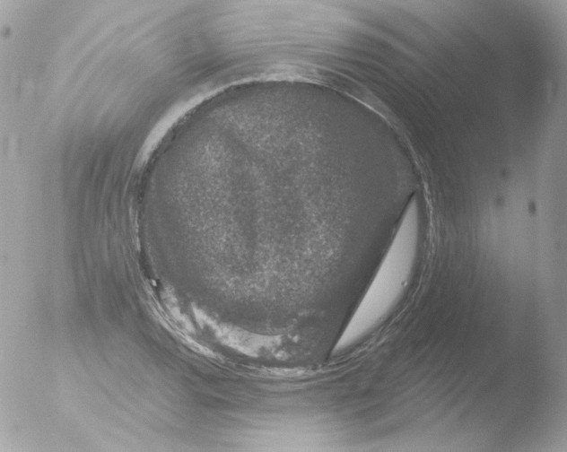 X0000051891120200507151931