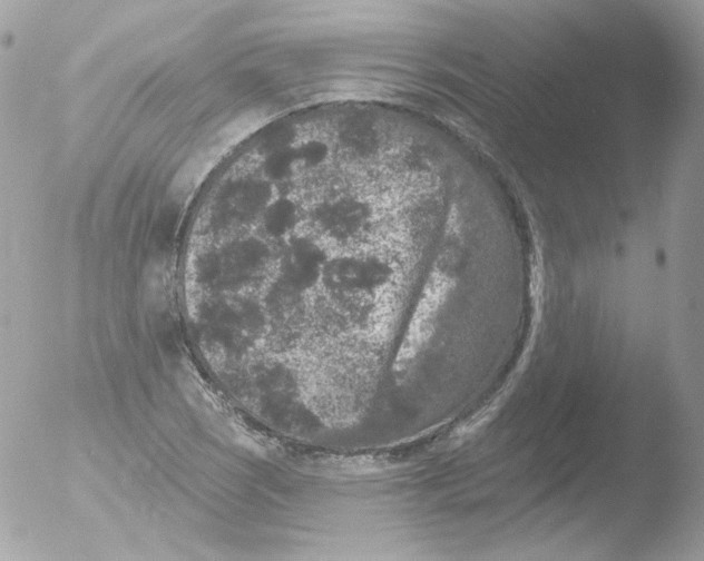 X0000051891121200507151931